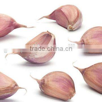Automatic Garlic Breaking Machine|Hot Sale Garlic Clove Splitting Machine photo-5