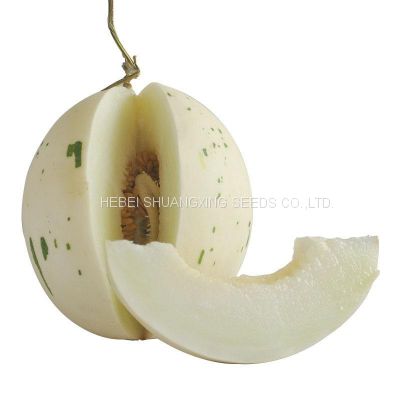 White Diamond hybrid white meat beautiful melon seeds