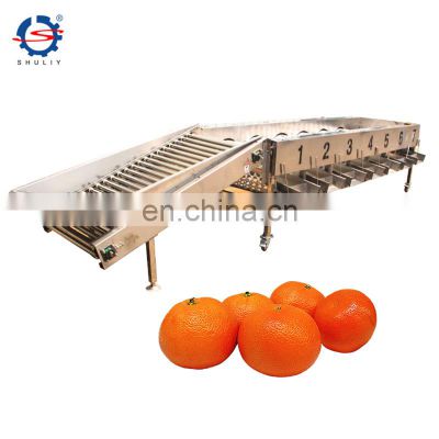 Different Size Grader Fruit Sorter Potato Orange Lemon Sorting Grading Machine