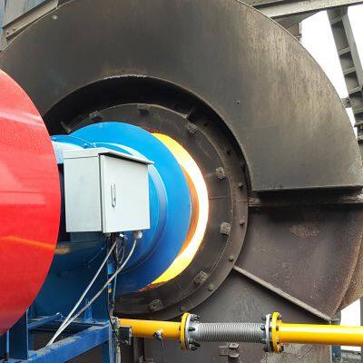 Muti-Function Gas Burner Asphalt Mixing Plant Manufacturer Fuel-Efficient With Low Fuel Consumption photo-4