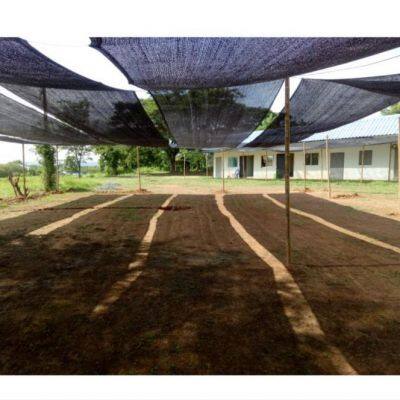 50% Shade 45g HDPE Warp Knitting Black Sun Shade Net photo-3