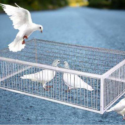 High Quality Metal Bird Pigeon Trap Cage with Metal Wire Door Iron Animal Trap