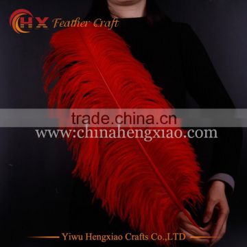 Wholesale Colored 26-28 Inch Ostrich Feathers for Sale in India