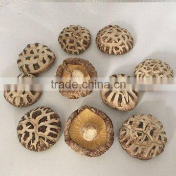 Dried Shiitake Mushroom Prices photo-5