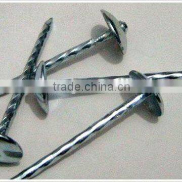 Screw Roofing Nails