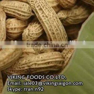 RED PEANUTS KERNEL/GROUNDNUTS_HIGH QUALITY