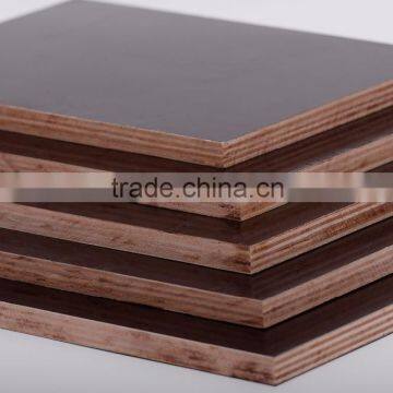 Film faced Plywood for Construction