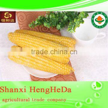 alibaba in russian canned sweet corn wholesale