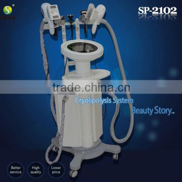 Freckle Removal 2013 Newest Design Pigmentinon Removal Cryolipolipolysis Cavitation RF Multifunctional Beauty Equipment