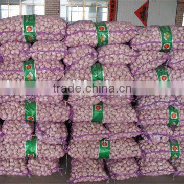 HOT!!FARMLAND PURE WHITE FRESH GARLIC Peeled Processing Type and Bulk,Vacuum Pack Packaging Best price Indian garlic