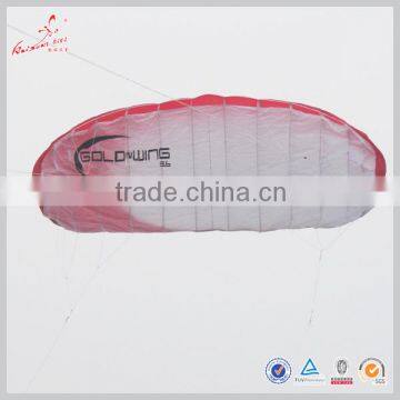 Weifang Stitching Easy Fly 3m Wingsapn Qual line Power Kite