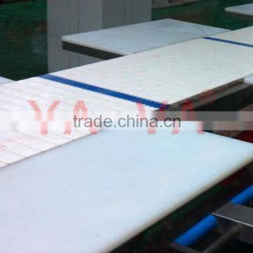 Plastic Modular Belt Manufacuturer in China photo-4