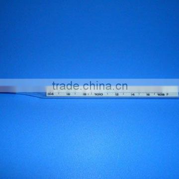 Enclosed scale clinical thermometer