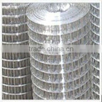 Canton Fair Electro Galvanized Welded Mesh