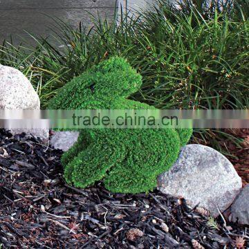 animal shape boxwood topiary