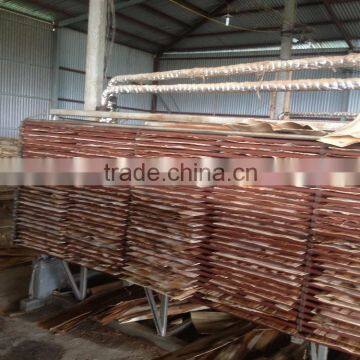 Core Veneer Industrial Drying photo-4