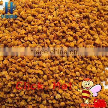 new fresh pure Qinghai natural rape bee pollen