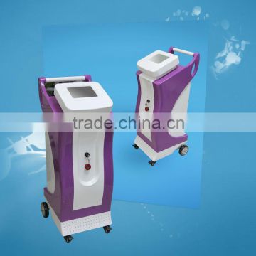 2012 popular pain free elight hair removal machine (Firstbeauty Factory)