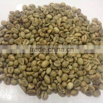 ROBUSTA COFFEE BEAN S13 S16 S18 CLEAN WET POLISH