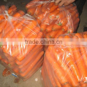 fresh vegetables baby carrots