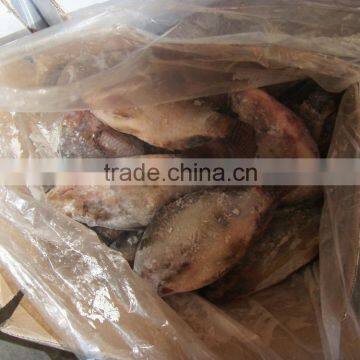 frozen tilapia fillet on sale