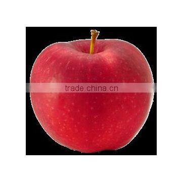 150# Fresh Fuji Apple photo-5