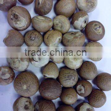 BETEL NUT photo-3
