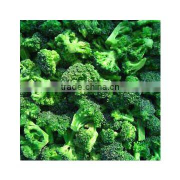 IQF Vegetables Broccoli Frozen Broccoli