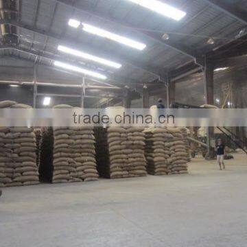 Wet Polished Robusta Green Coffee Beans Grade 1 Screen 18 photo-6