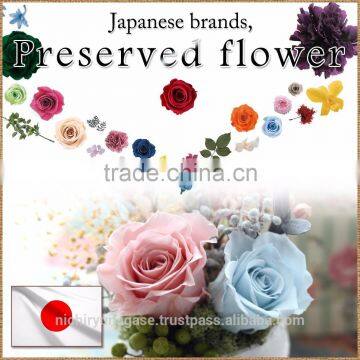 Pretty and Cute Wholesale Natural Preserved Flower at Reasonable Prices , Small Lot Order Available