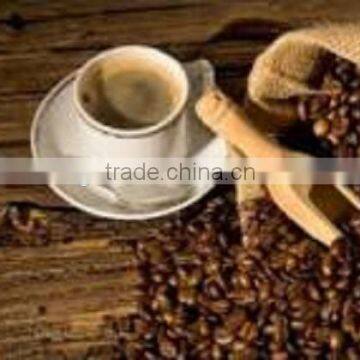 copi luwak