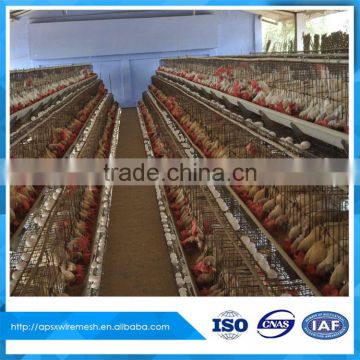 poultry farm chicken house A types of layer hen cage