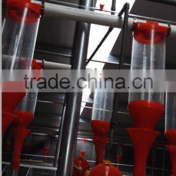 For sale china factory supply save time and labor auto pig feed system