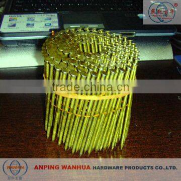 High Quality Roofing Nails (ISO 9001 Manufacturer)