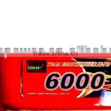 Enrich Power Lipo Battery