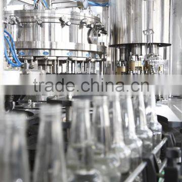 Beer Bottle Filling Machine photo-4