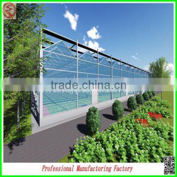 China manufacturer PC board agricultural greenhouses for potatoes/grape/roses