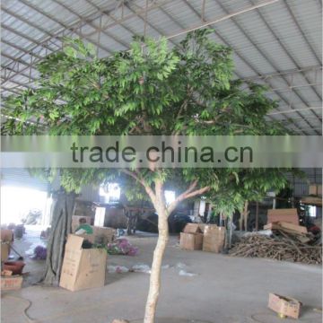 Fake Acacia Rachii Tree for Sale,Fake Green Tree Manufacturer in China photo-2