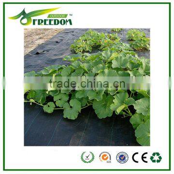 High-quality Plastic Ground Cover for Agriculture photo-6