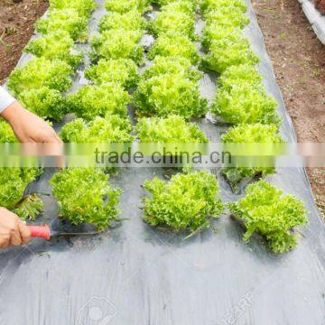 Cheap Price Agriculture Black Plastic Ground Cover photo-6