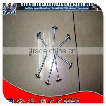 BWG10X 2" electro galvanized roofing nail with umbrella head