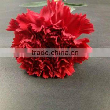 Wedding Decoration Centerpieces Fresh Cut Flower Carnation Exporting From Yunnan