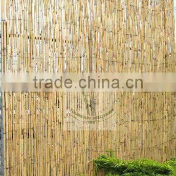 Reed Fence photo-2