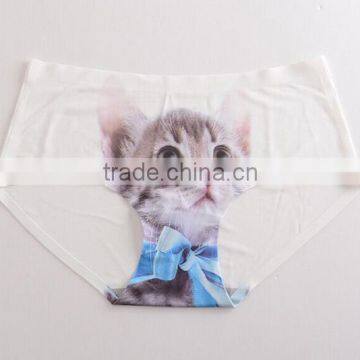 2017 Manufacturer Customized Your Own Brand Design Funny Cute 3D Print 95%Modal 5%Spandex Private Label Women Underwear photo-4