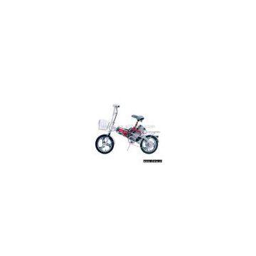 Electric Bike