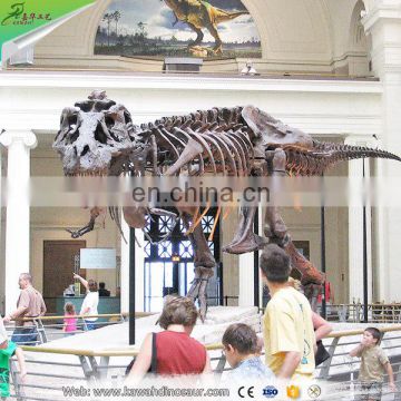 KAWAH Full Size Fiberglass Dinosaur Skeleton Replica & Realistic Full Dinosaur Skeleton