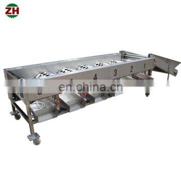 2018 High Quality Commercial Apple Grader Fruit and Vegetable Grader on Sale photo-6