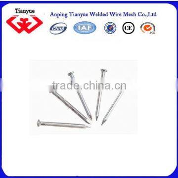 Price of Iron Nails photo-5