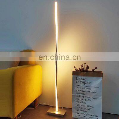 Modern Minimalist Standing Floor Lamps Living Room Metal Twist Led Floor Lamp