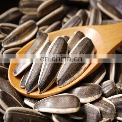 Wholesale Cha Cha Roasted Sunflower Seeds Snacks Peeled Best Quality Inner Mongolian Sunflower Kernel Crop 2020 From CN photo-4